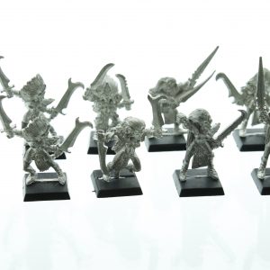 Warhammer Fantasy Dark Elf Witch Elves