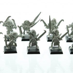 Warhammer Fantasy Dark Elf Witch Elves