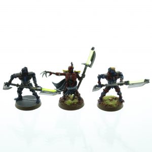 Warhammer 40K Necron Lord & Pariahs