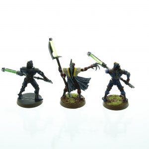 Warhammer 40K Necron Lord & Pariahs