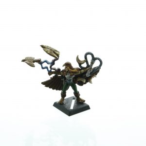 Warhammer Fantasy Wood Elf Skaw the Falconer