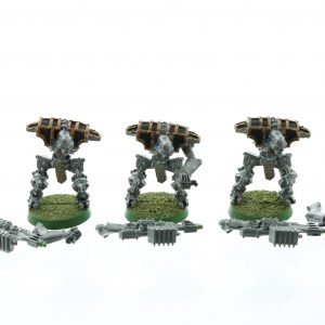 Rogue Trader Necron Immortals