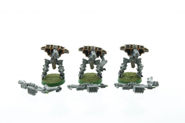 Rogue Trader Necron Immortals