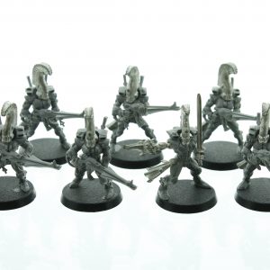 Eldar Dire Avengers