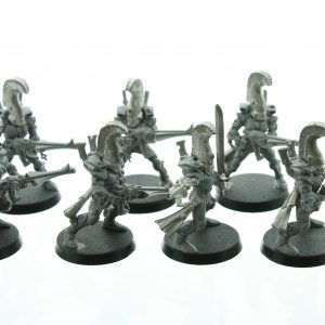 Eldar Dire Avengers