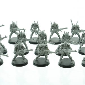 Eldar Guardians