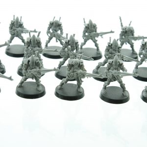 Eldar Guardians