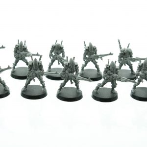 Eldar Guardians