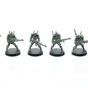 Eldar Guardians