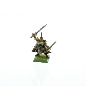 High Elf Hero with 2 Swords