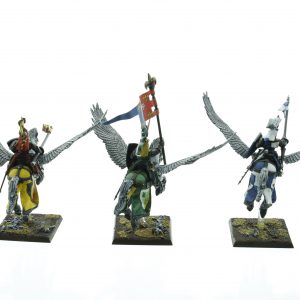 Bretonnia Pegasus Knights