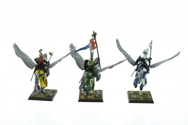 Bretonnia Pegasus Knights