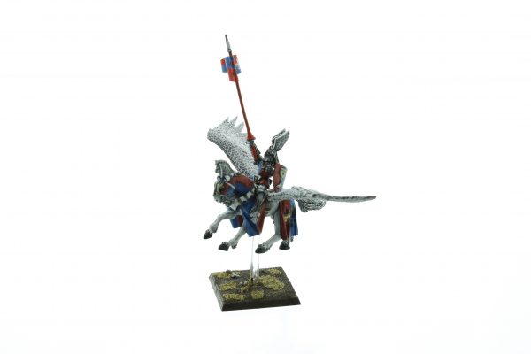 Bretonnia Hero on Pegasus