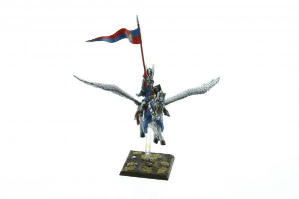 Bretonnia Hero on Pegasus