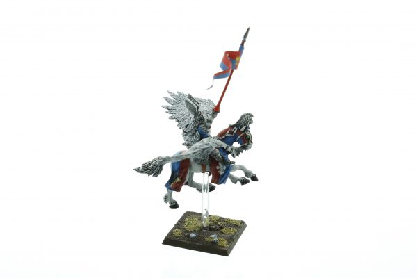 Bretonnia Hero on Pegasus