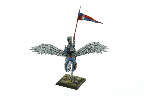 Bretonnia Hero on Pegasus