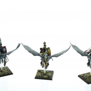 Bretonnia Pegasus Knights