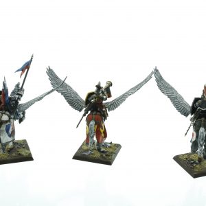 Bretonnia Pegasus Knights