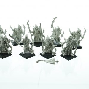 Warhammer Fantasy Dark Elf Corsairs