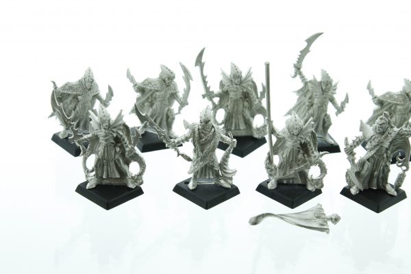 Warhammer Fantasy Dark Elf Corsairs