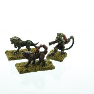 Warhammer Chaos Beastmaster & Hounds