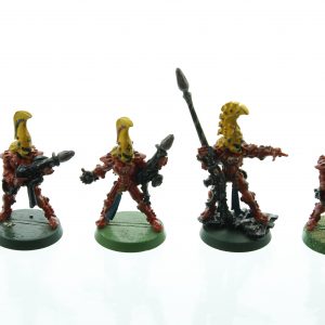 Eldar Fire Dragons & Exarch