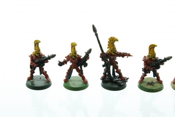 Eldar Fire Dragons & Exarch