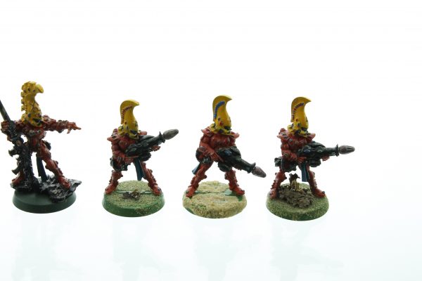 Eldar Fire Dragons & Exarch