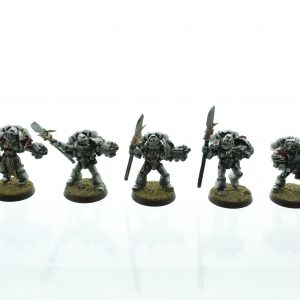 Grey Knights Strike Squad