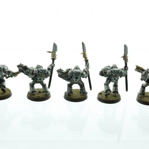 Grey Knights Strike Squad