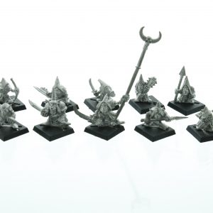 Marauder Night Goblins