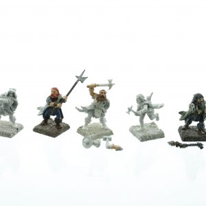 Mordheim Middenheimer Warband