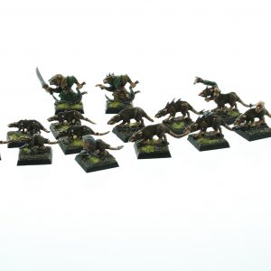 Skaven Clan Moulder Giant Rats Packmaster