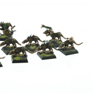 Skaven Clan Moulder Giant Rats Packmaster