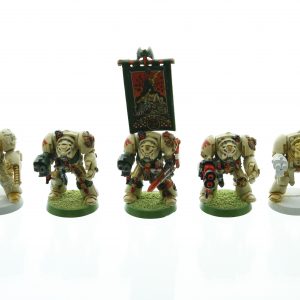 Space Marine Terminators Deathwing