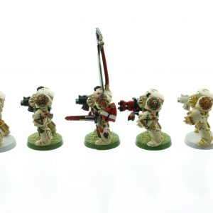 Space Marine Terminators Deathwing