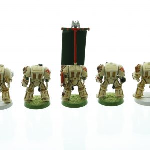 Space Marine Terminators Deathwing