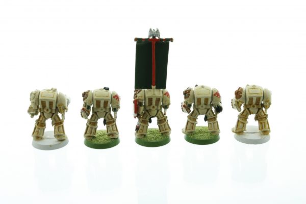 Space Marine Terminators Deathwing