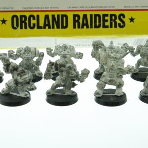 Bloodbowl Orcland Raiders