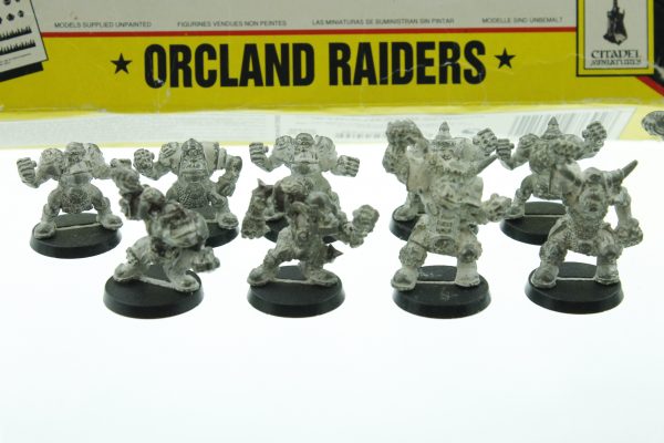 Bloodbowl Orcland Raiders