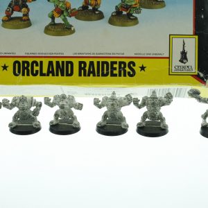 Bloodbowl Orcland Raiders