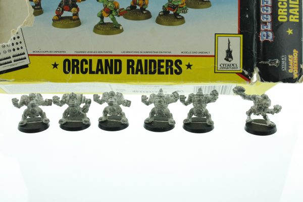 Bloodbowl Orcland Raiders