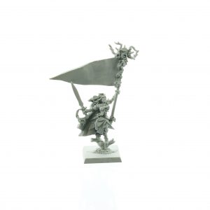 Wood Elf Battle Standard Bearer