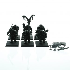 Warhammer Ogres