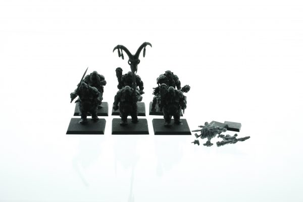 Warhammer Ogres