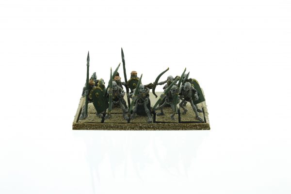 Tomb Kings Skeleton Warriors