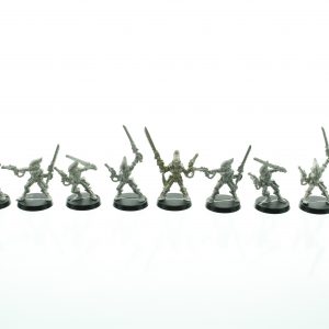 Eldar Striking Scorpions