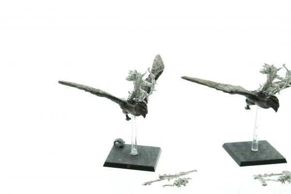 Wood Elf Warhawk Riders