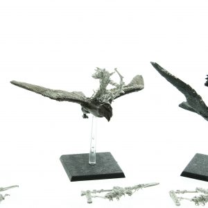 Wood Elf Warhawk Riders