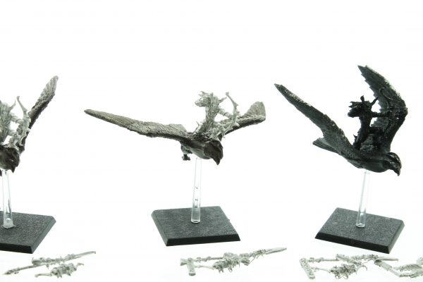 Wood Elf Warhawk Riders